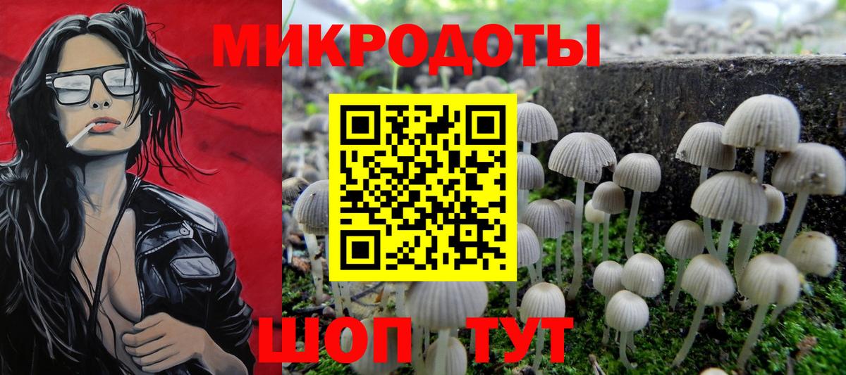 Галлюциногенные грибы ЛСД  Вход с VPN  Кириши  Галлюциногенные грибы GOLDEN TEACHER 