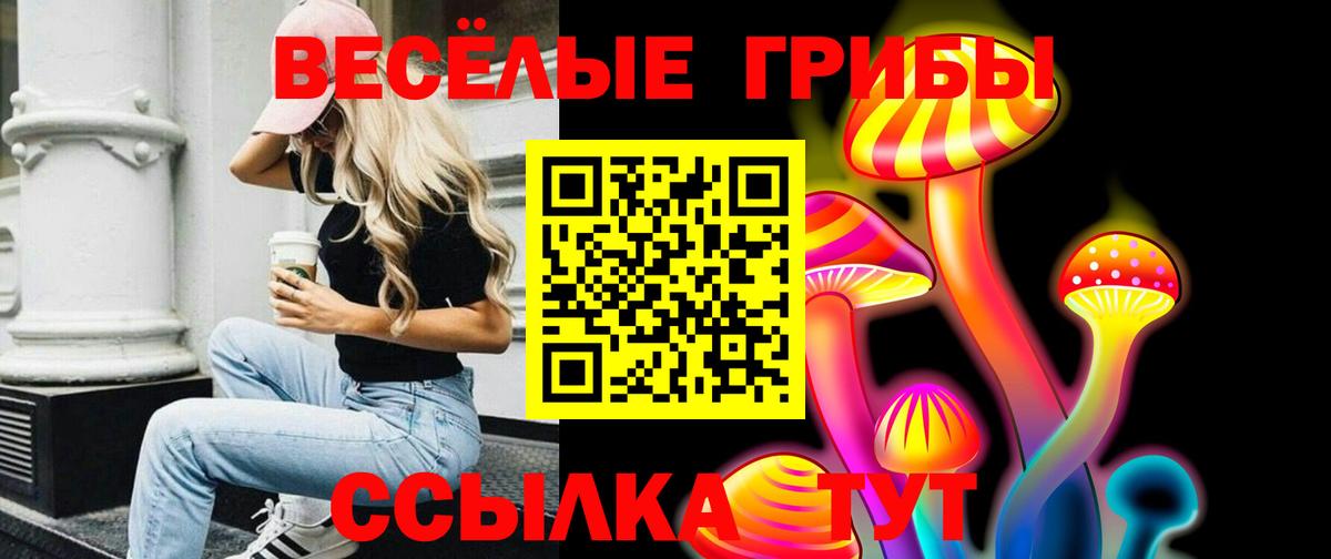 Галлюциногенные грибы прущие грибы Кириши